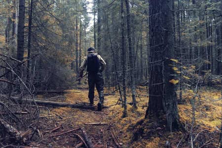 Купить диплом Егеря, лесника в Камышине
