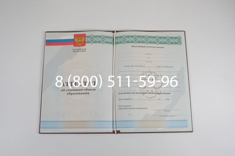 Аттестат за 9 класс 2011-2013 годов в Камышине Аттестат за 9 класс 2011-2013 годов в Камышине