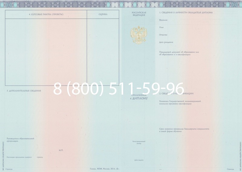 Заказать Диплом бакалавра 2014-2024 года в Камышине