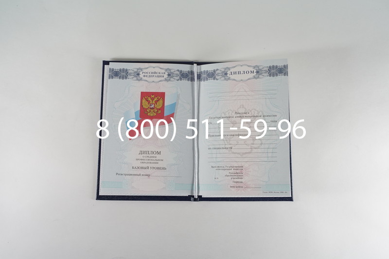 Диплом колледжа 2007-2010 годов в Камышине