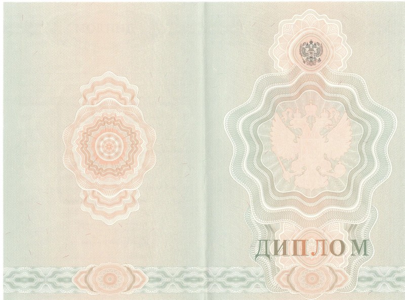 Купить Диплом о начальном образовании 2007-2009 годов в Камышине Купить Диплом о начальном образовании 2007-2009 годов в Камышине