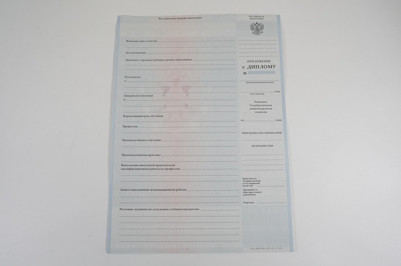 Диплом о начальном образовании 2007-2009 годов в Камышине Диплом о начальном образовании 2007-2009 годов в Камышине