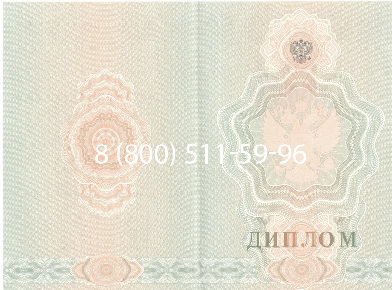 Купить Диплом училища 2007-2009 годов в Камышине Купить Диплом училища 2007-2009 годов в Камышине